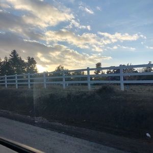 Meet your Posher, Casey